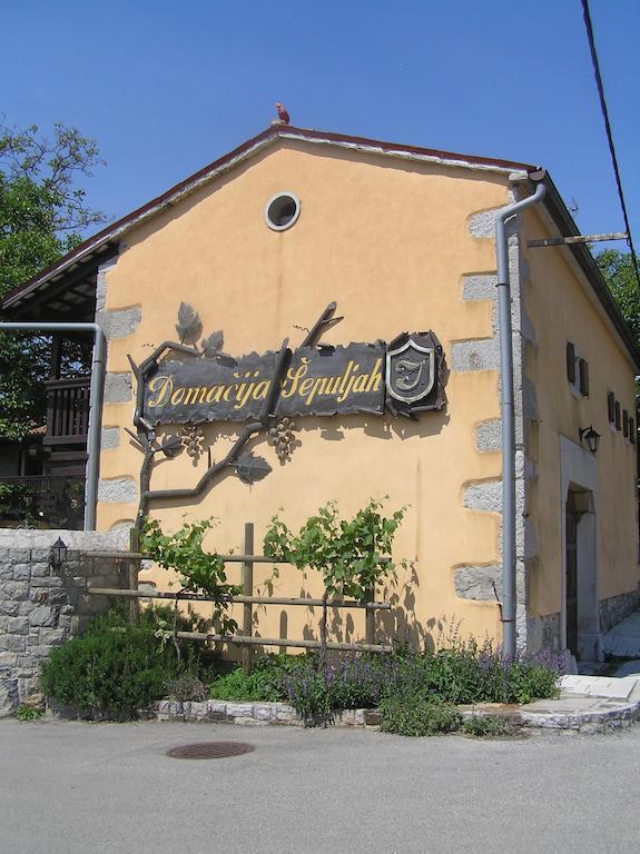 Guesthouse Domacija Sajna Сезана Экстерьер фото